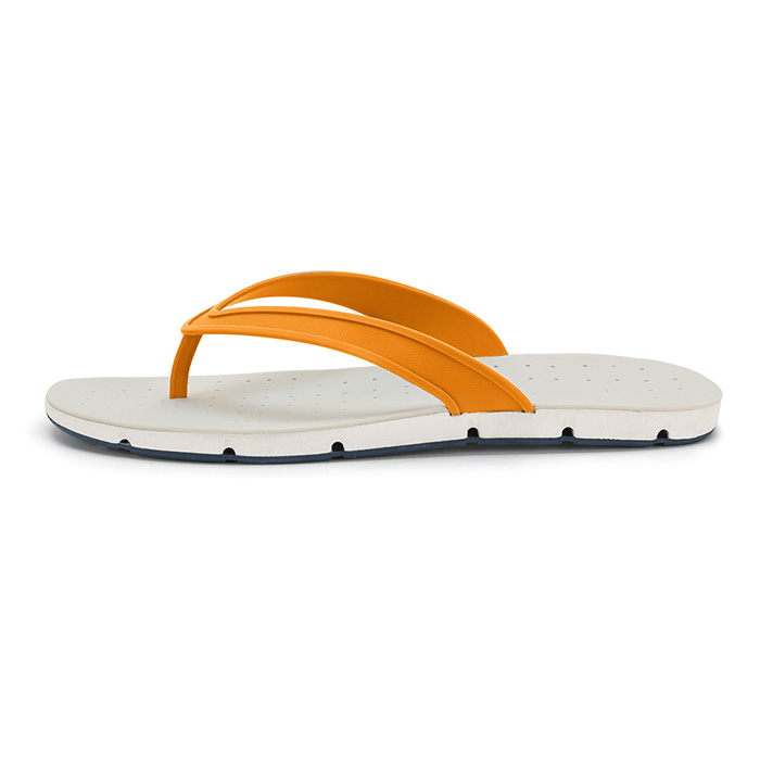 �������� ������� 40 ���������